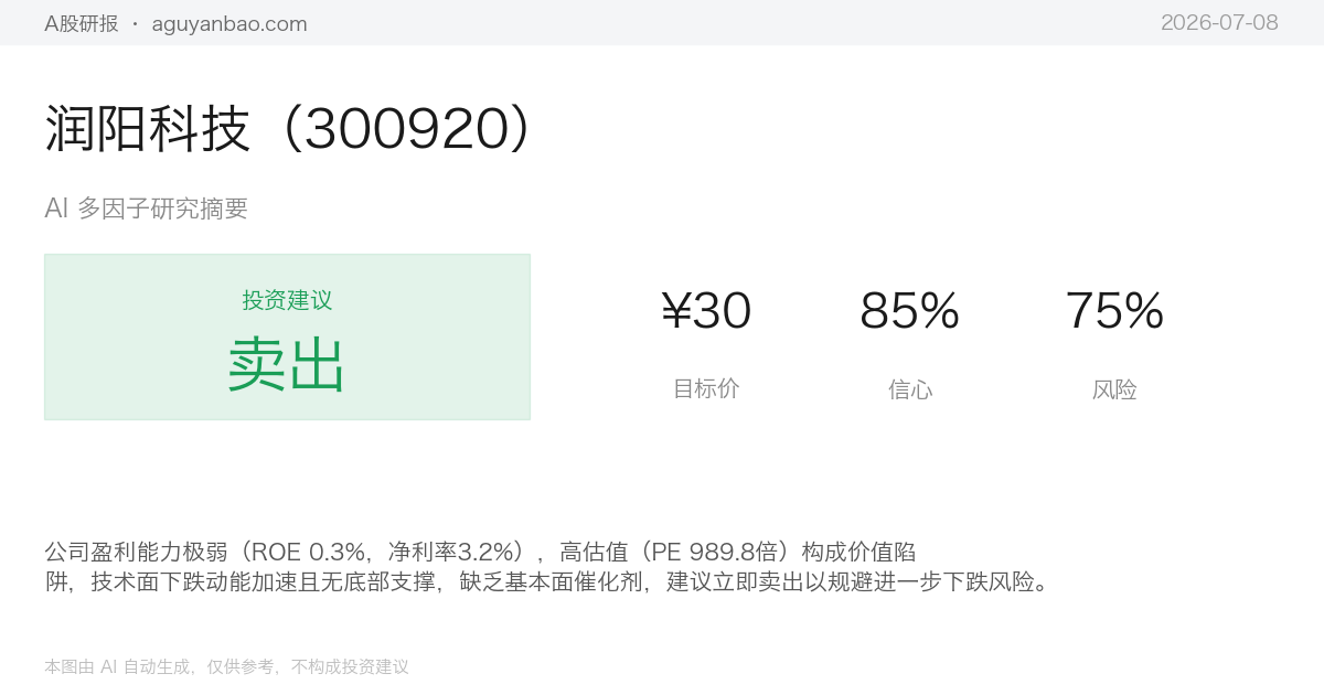 润阳科技（300920）AI 研究摘要